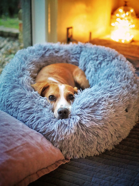Plush Donut Pet Bed - My Store